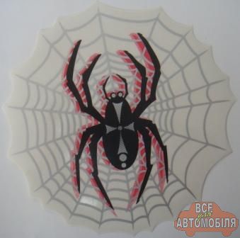 Наклейка "Паутинка + паук"